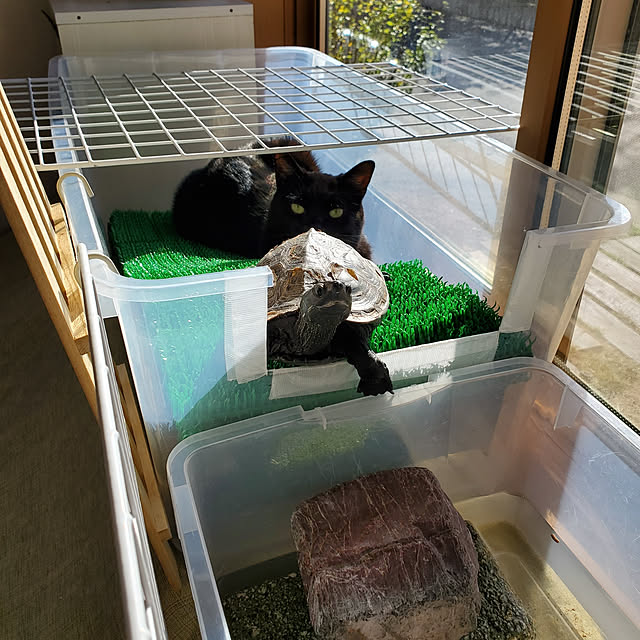 nanaさんの実例写真