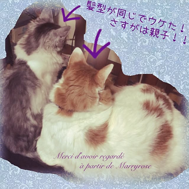 maria.rさんの実例写真