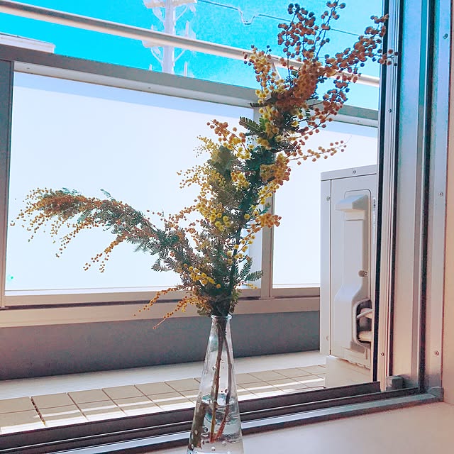 meeeg03さんの実例写真