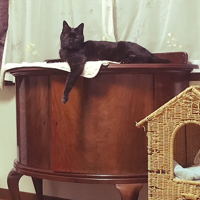 Tippiさんの実例写真