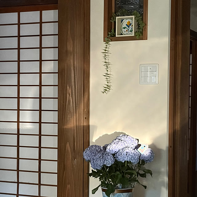 cotaさんの部屋