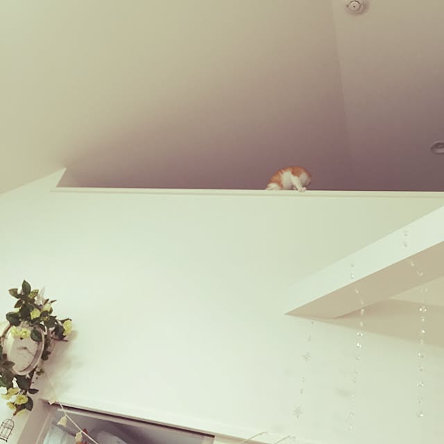 Mi-Koさんの実例写真