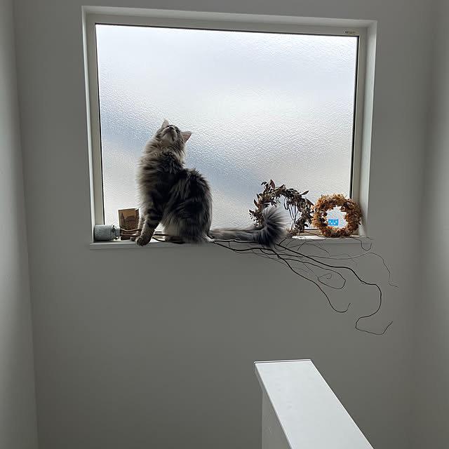 mayumiさんの部屋
