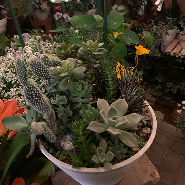 Aqettyさんの部屋