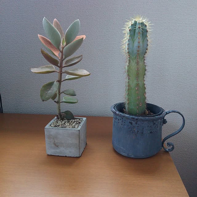 maitakekoさんの実例写真
