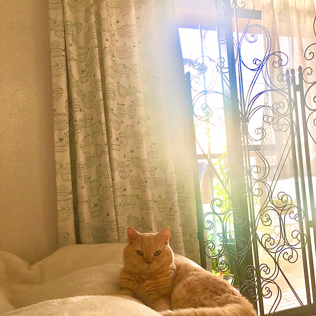 vol.3452写真