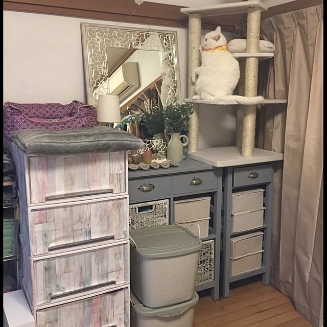 azusamaさんの実例写真
