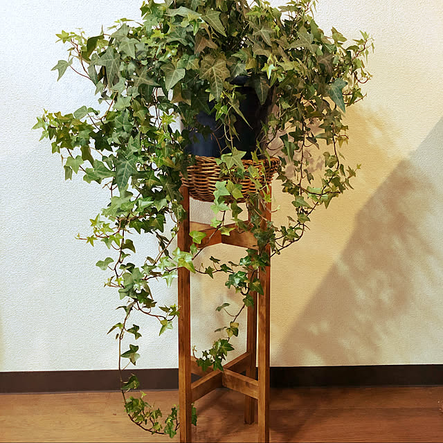 shiho821kimuraさんの実例写真