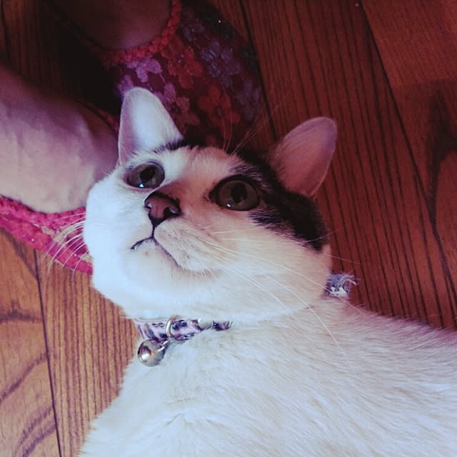 sweetさんの実例写真