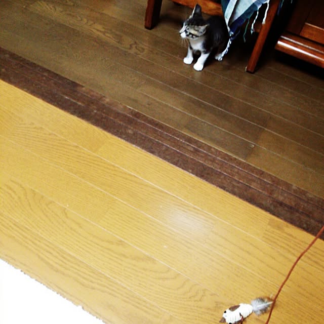 kazukoさんの実例写真