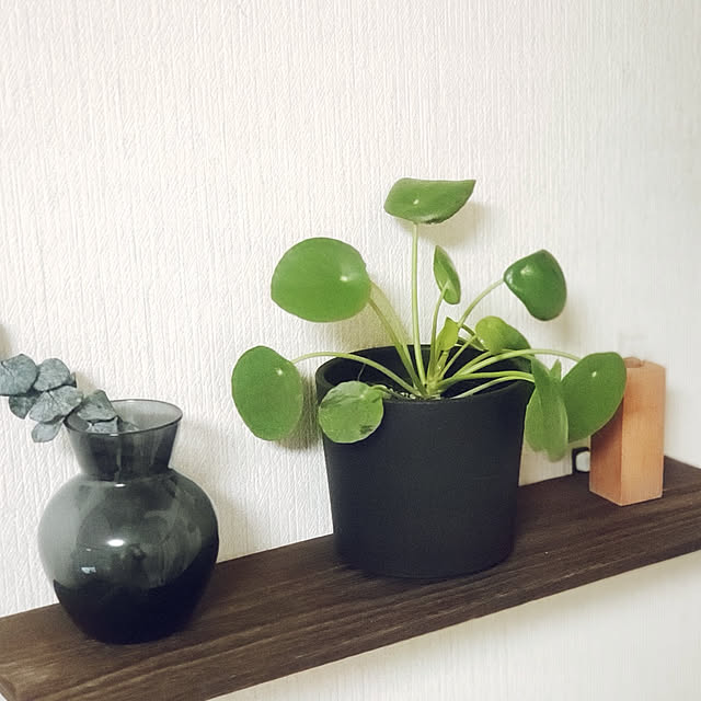 nonさんの実例写真