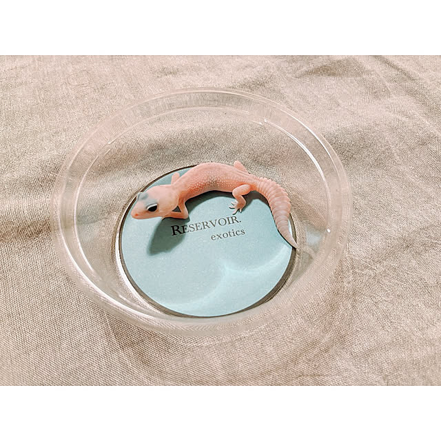 w_end_0625さんの実例写真