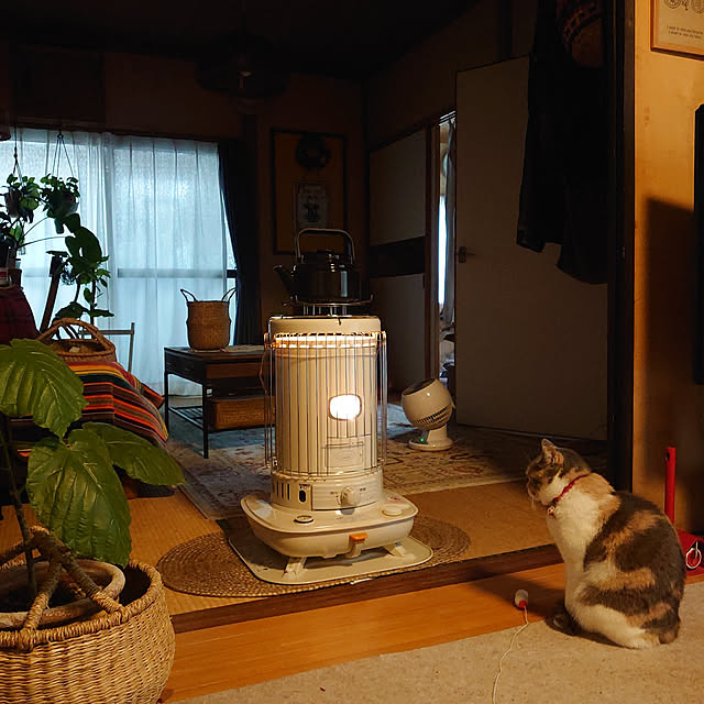 fukuさんの実例写真