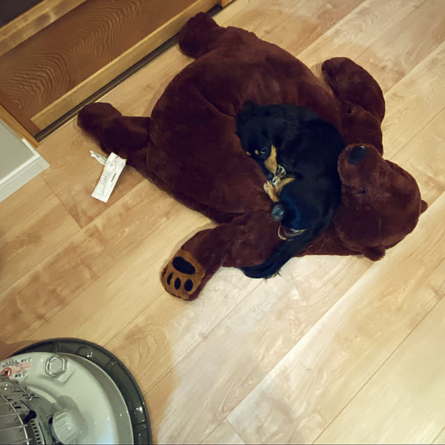 uninekoさんの実例写真