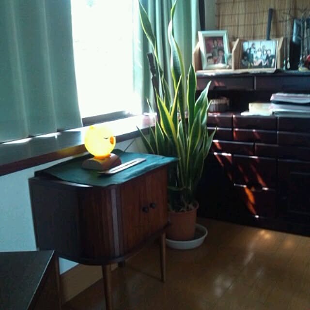 kanamaiさんの実例写真