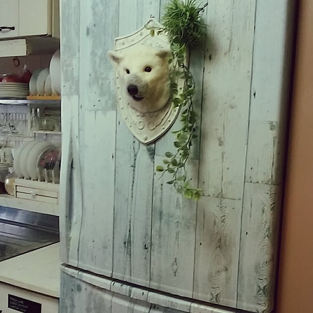 jankenkenさんの実例写真