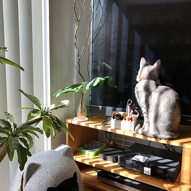 maroさんの実例写真