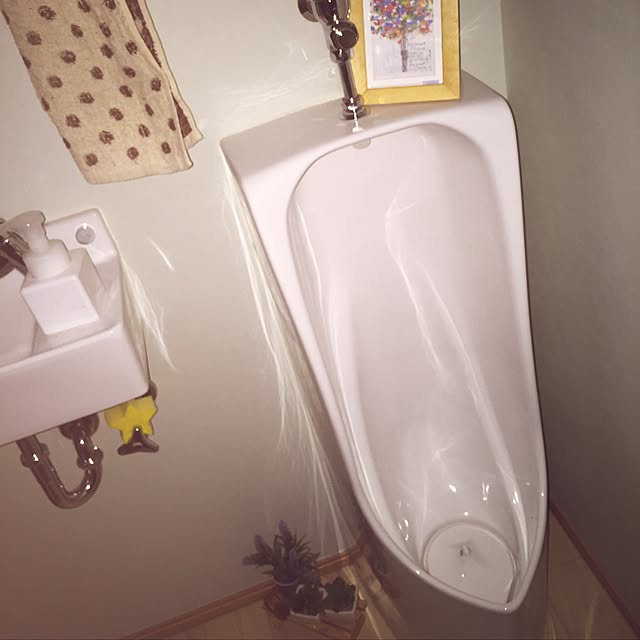 バス/トイレ/100均/フェイクグリーンのインテリア実例 - 2017-02-06 22:59:50