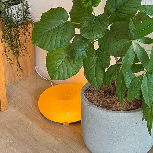 IKEA 照明 ヴァルムブリクストのおすすめ商品とおしゃれな実例