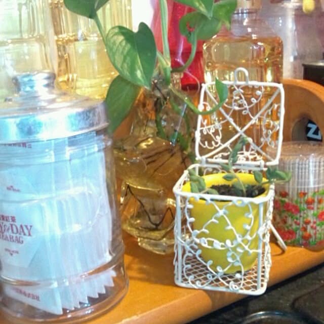 asa0521さんの実例写真