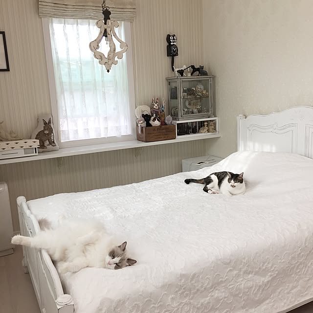 yuchiさんの実例写真