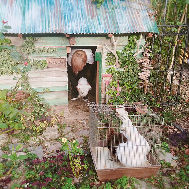 pepeさんの実例写真