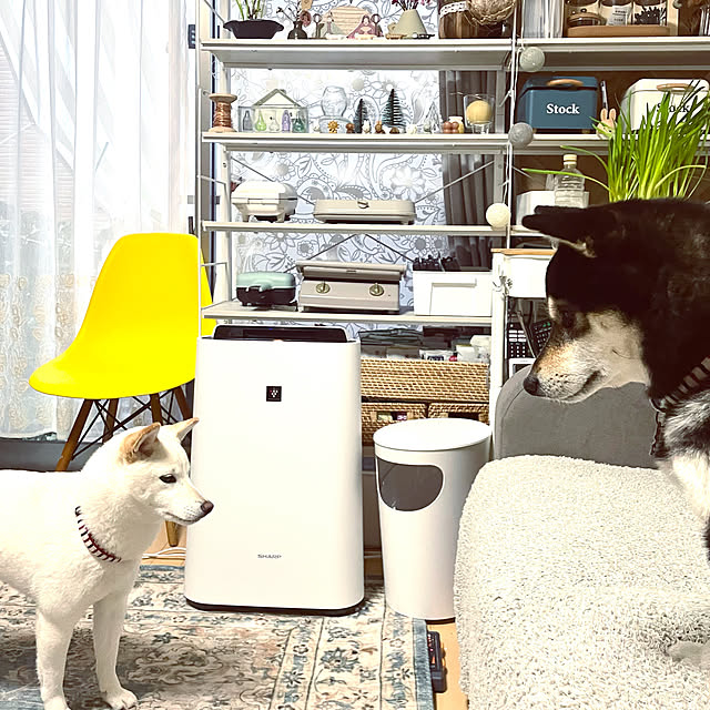 mo-nosukeさんの実例写真
