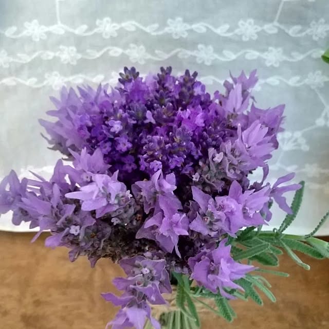 tomomiさんの部屋