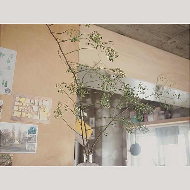 キッチン/ガラスの花器/ポストカード/野ばら/コンクリート打ちっ放しのインテリア実例 - 2015-08-30 10:22:59