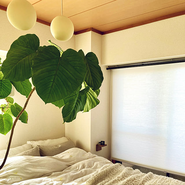 mityaさんの実例写真