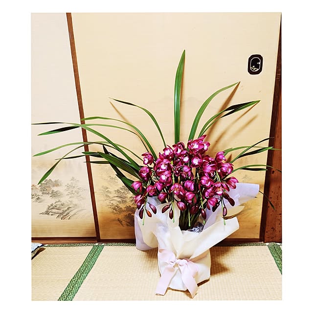 citsuraeさんの部屋