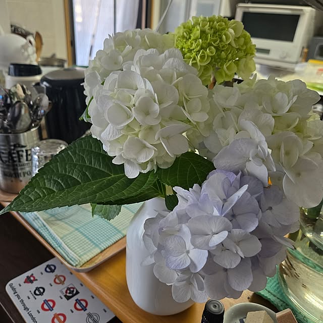 naonao97kさんの実例写真