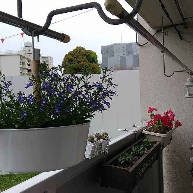 komomonさんの実例写真