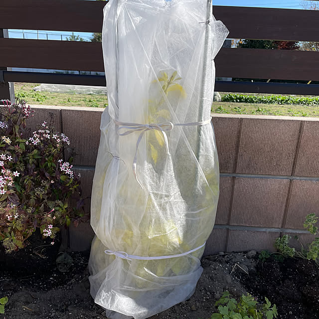 ronronさんの部屋