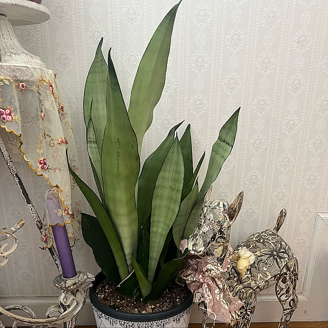 AYUKOさんの実例写真