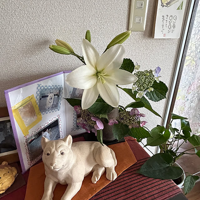 ritsukoさんの実例写真