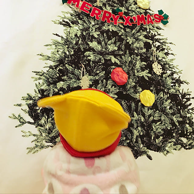 chiemingさんの実例写真