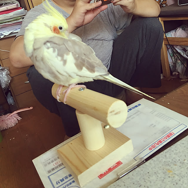 moguさんの実例写真
