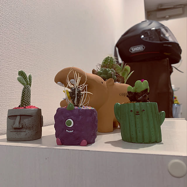 サボテン/多肉植物/玄関/入り口のインテリア実例 - 2019-09-15 08:36:26