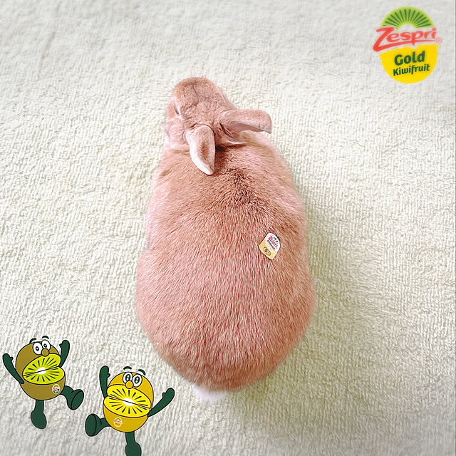 y.i.tさんの実例写真