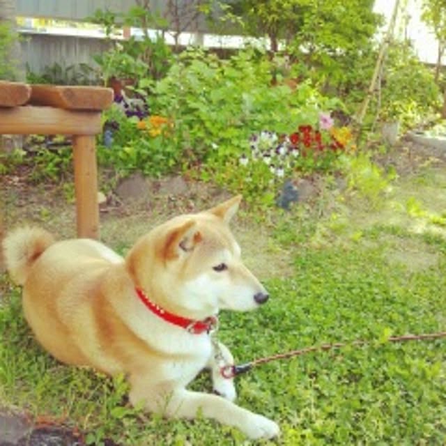 maiさんの実例写真
