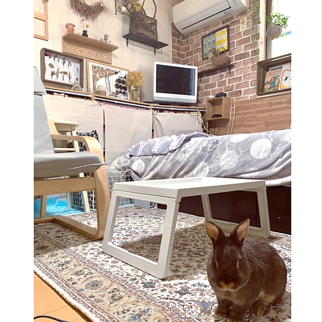 mo-nosukeさんの実例写真