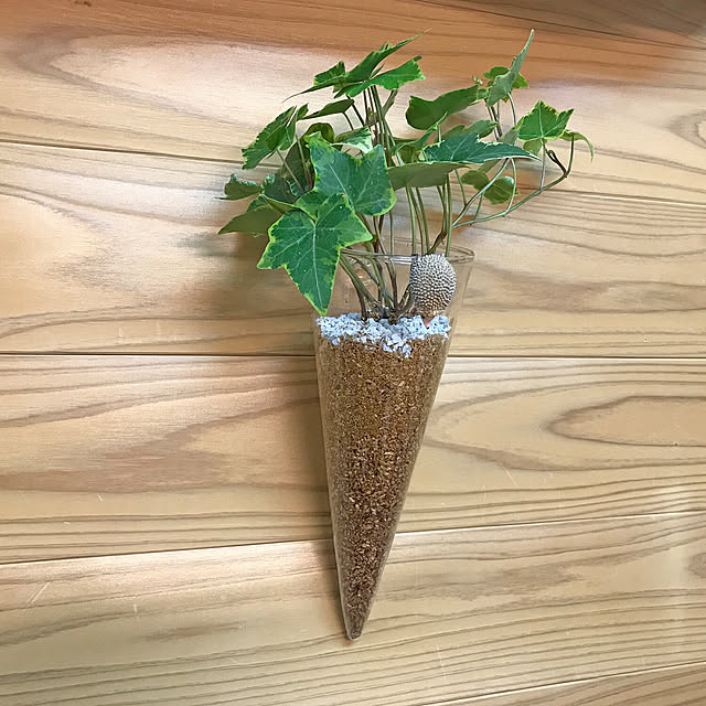 Kitoplusさんの実例写真
