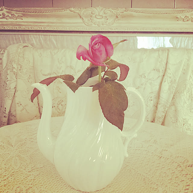 france_rose_laceさんの実例写真