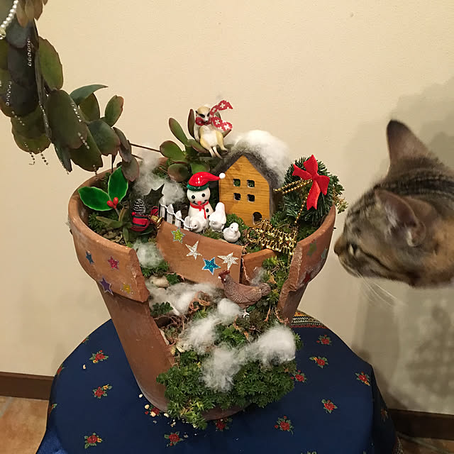 shigimiさんの実例写真