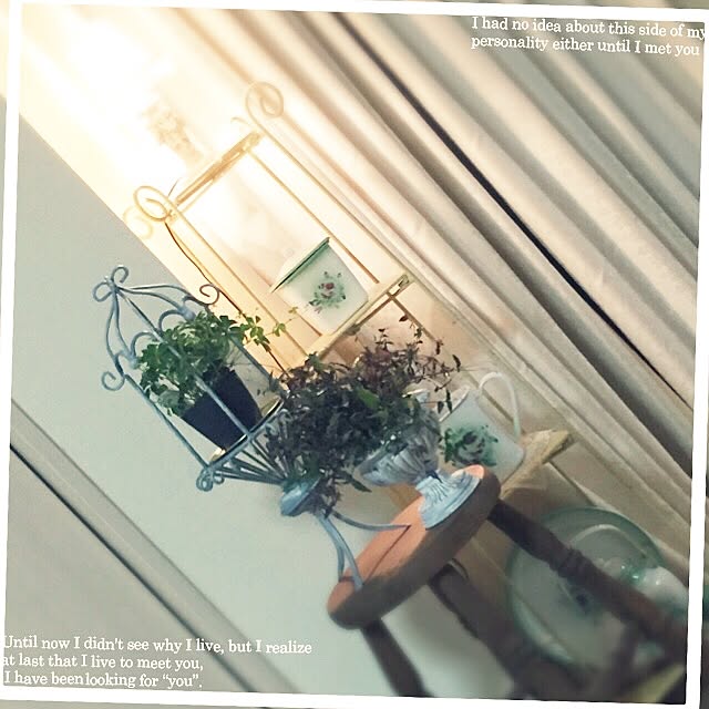 emilieさんの実例写真