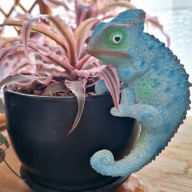 sami666さんの実例写真
