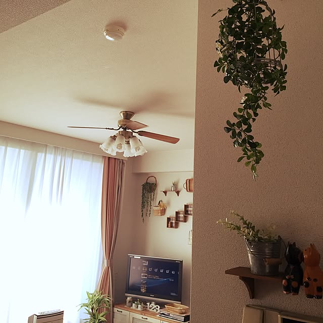 murasaki_s2さんの実例写真