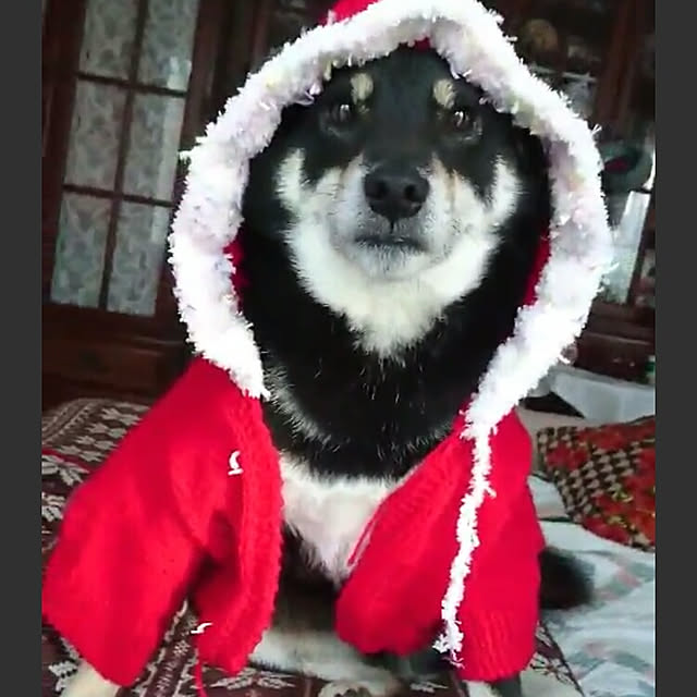 tsutawarimasuさんの実例写真