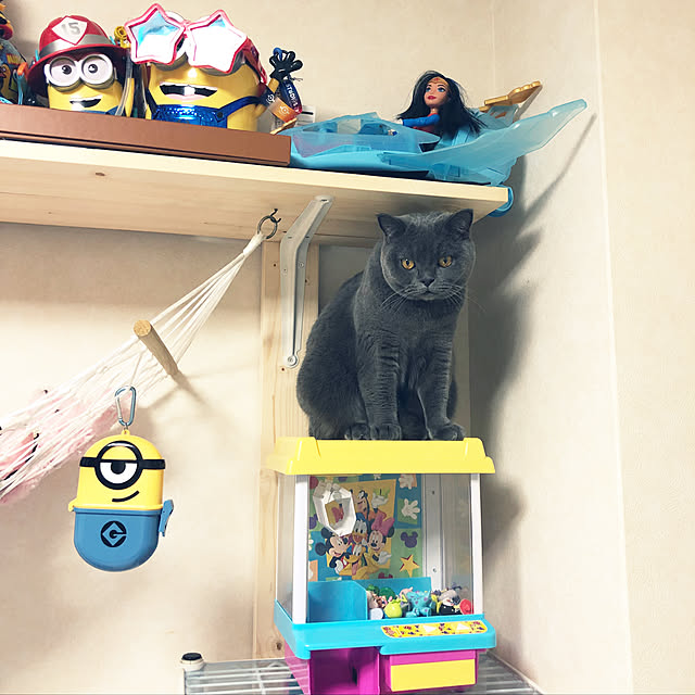 Shojiさんの実例写真